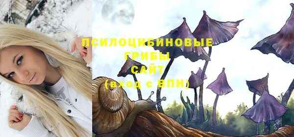 стафф Баксан