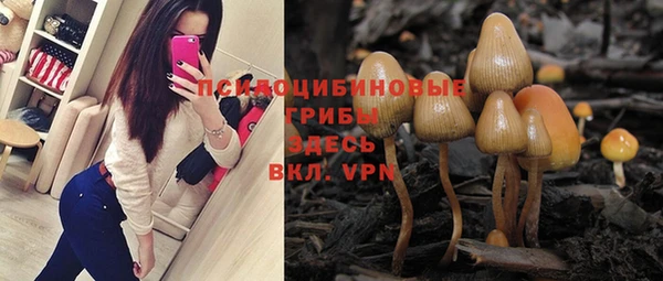 стафф Баксан