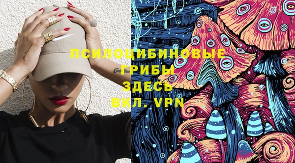 стафф Баксан