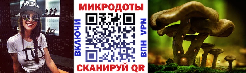 Псилоцибиновые грибы Psilocybe  Купить где  Бакал 